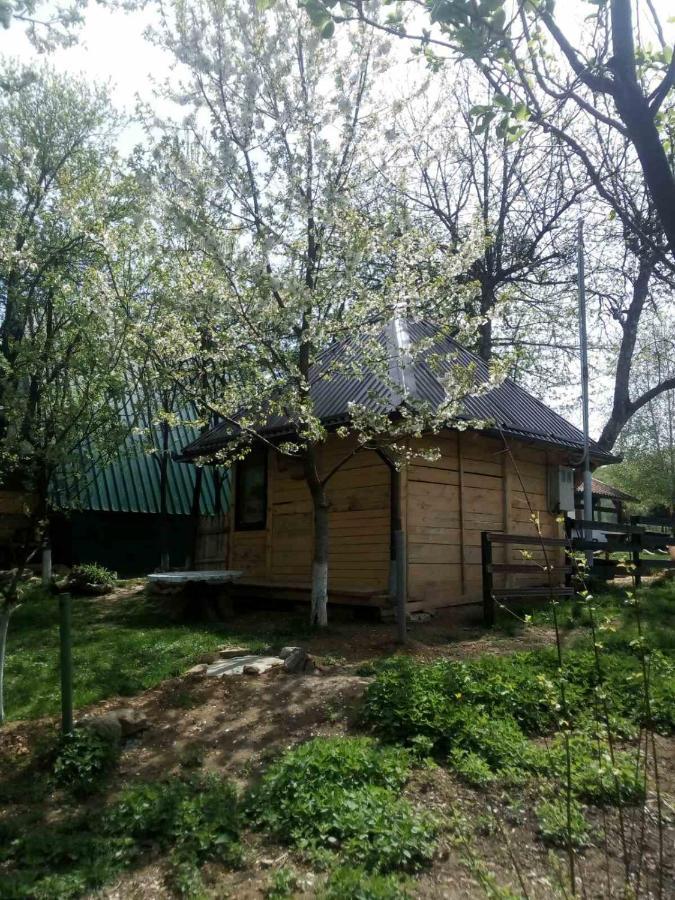 ויסוקו Bungalows Old Town מראה חיצוני תמונה